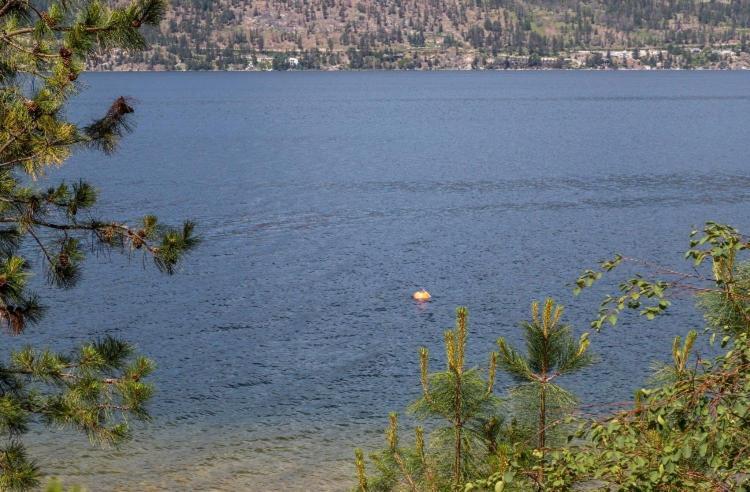 The Blue House Bed And Breakfast Lake Country Εξωτερικό φωτογραφία